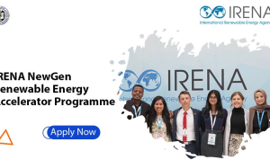 International Renewable Energy Agency (IRENA)