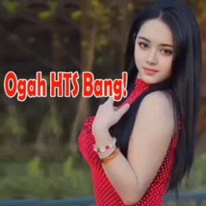 Apa Itu HTS